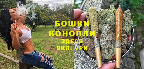 шишки Белокуриха